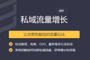 2020私域流量增长让你营收翻倍的流量课程