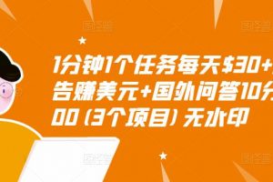 1分钟1个任务每天$30+点击广告赚美元+国外问答10分钟赚100(3个项目)无水印