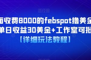 外面收费8000的febspot撸美金项目，单日收益30美金+工作室可批量搞【详细玩法教程】