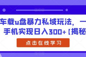 车载u盘暴力私域玩法，一部手机实现日入300+【揭秘】