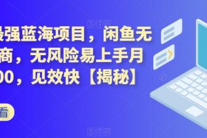 2023最强蓝海项目，闲鱼无货源电商，无风险易上手月赚10000，见效快【揭秘】