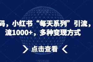 流量密码，小红书“每天系列”引流，日引流1000+，多种变现方式【揭秘】