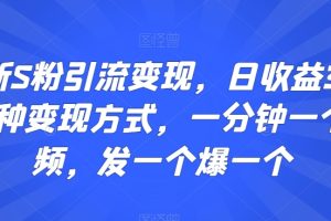 小红书电商无货源打卡，抢先占领小红书无货源电商风口